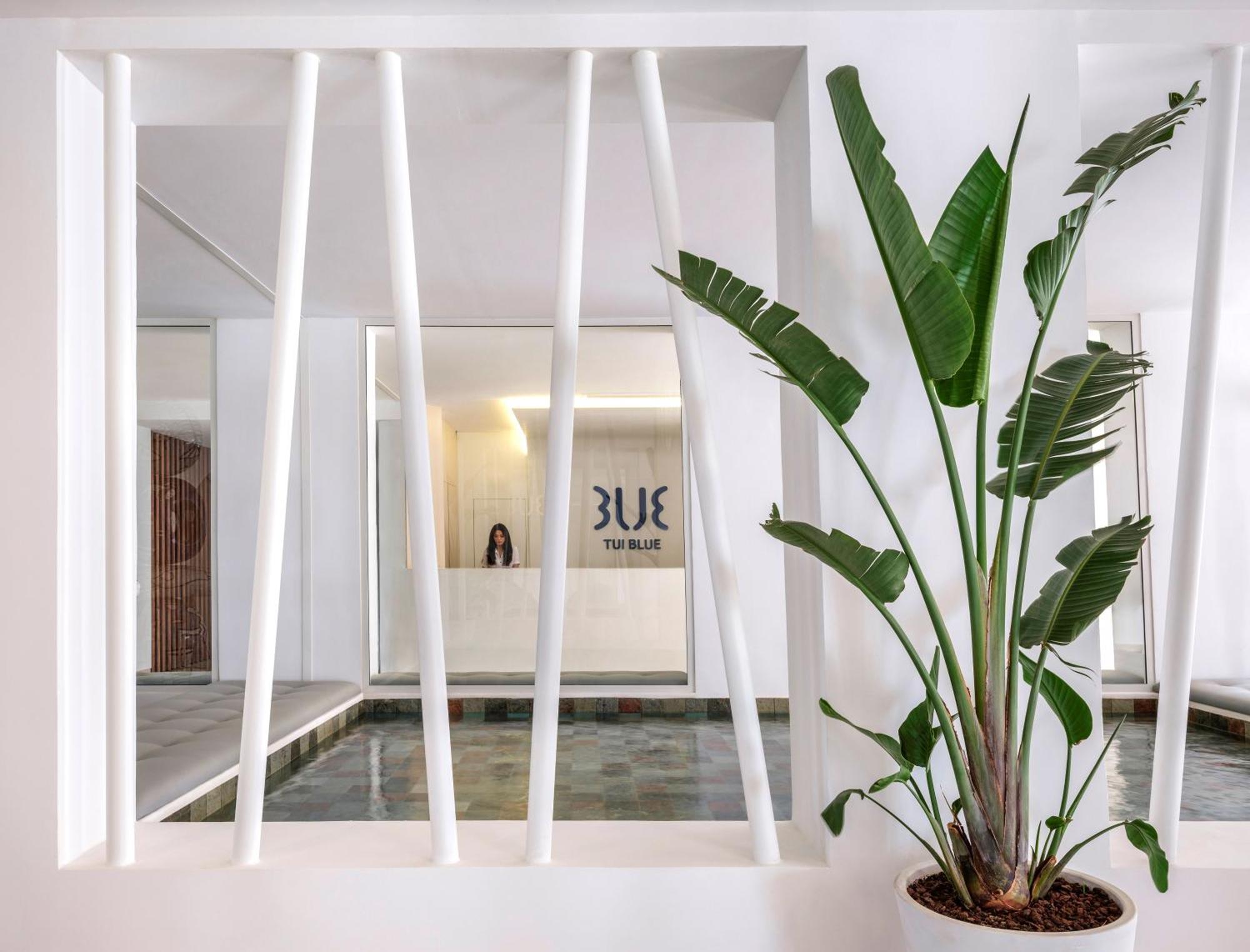Tui Blue Palm Beach ハンマメット エクステリア 写真